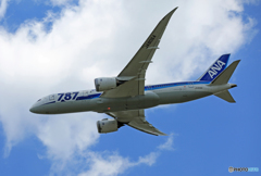 「ぶるー」 ANA 787-8 JA806A 飛び立ち 