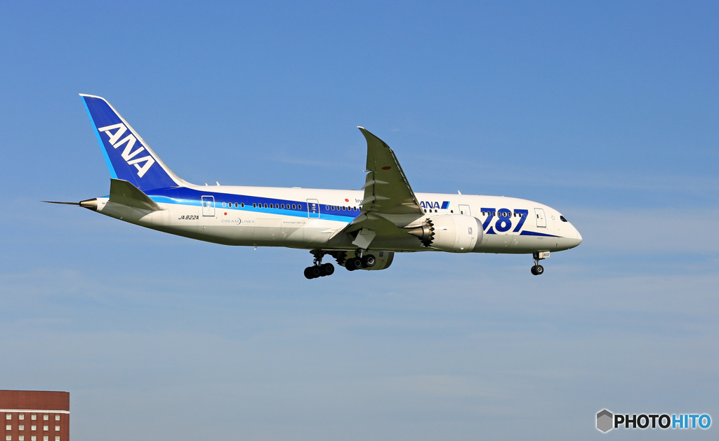 到着 ANA 787-8 JA822A