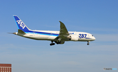 到着 ANA 787-8 JA822A