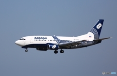 Aurora 737-5L9  着陸　