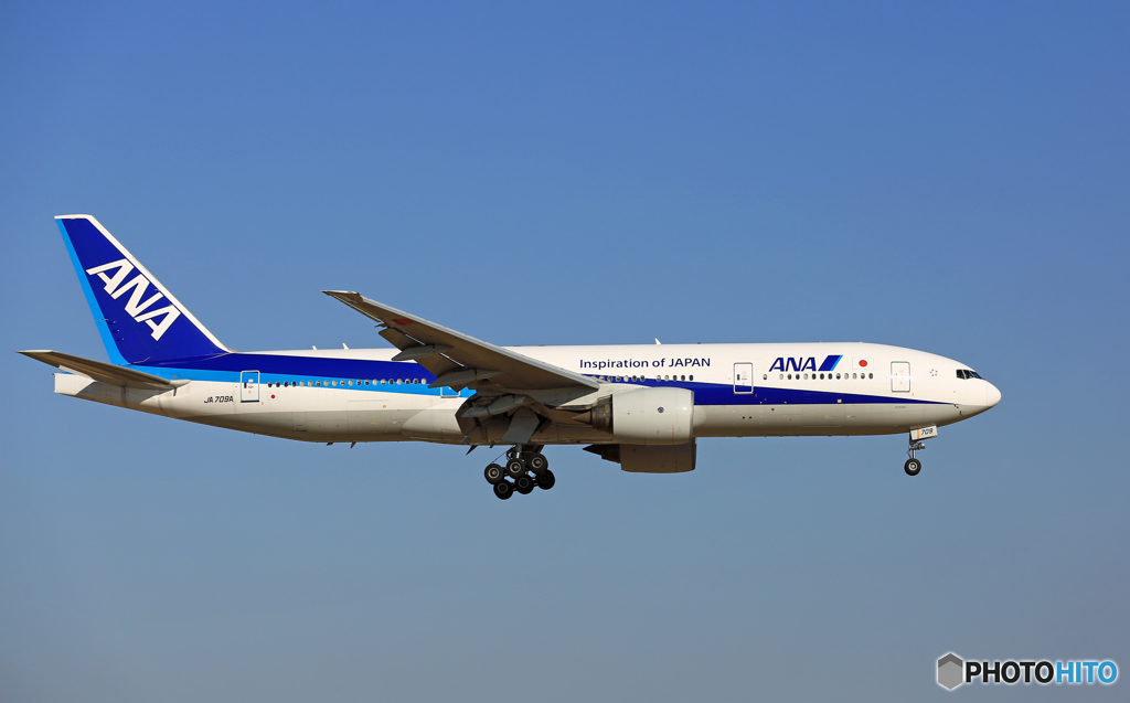 着陸 ANA 777-281 JA709A ☀