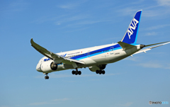 到着 ANA 787-8 JA804A 「青い空」