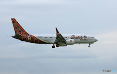 「☁」 Batik 737-8 Max 9M-LRD 着陸
