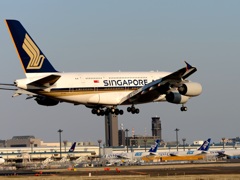 SINGAPORE A380-841 到着