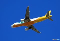 「青い空」が一番 CEBU A320-214 RP-C3267