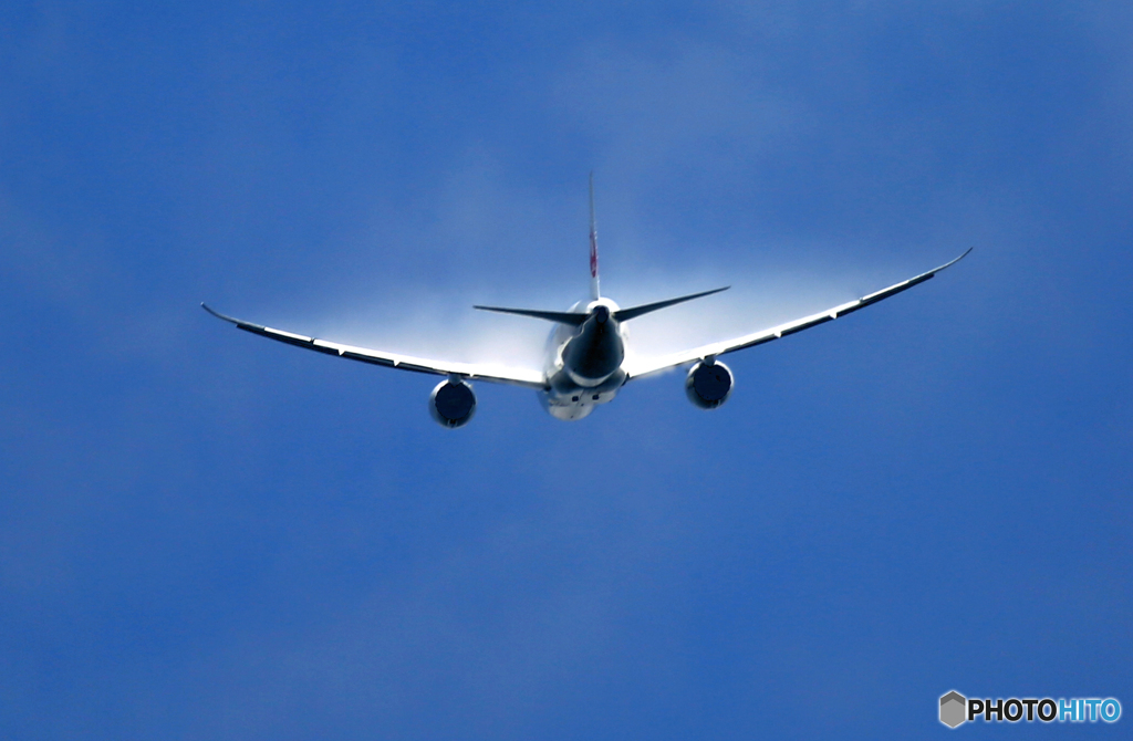 飛び立ち JAL 787-8 JA828Aべいぱあー