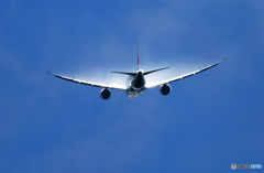 飛び立ち JAL 787-8 JA828Aべいぱあー