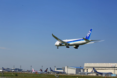 着地前 ANA 787-9 JA875A