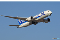 ANA 787-8 JA805A 出発　