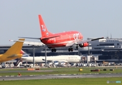 Auroraオーロラ航空SAT B737-5L9  RA-73013