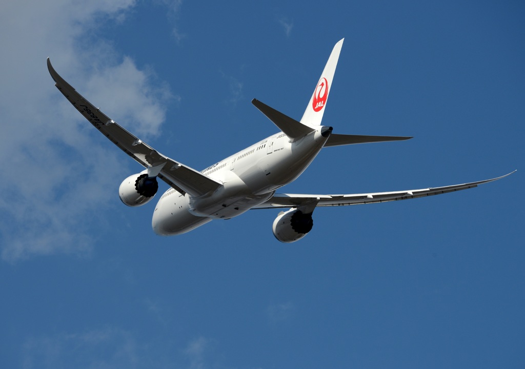 JAL 787-8 飛行