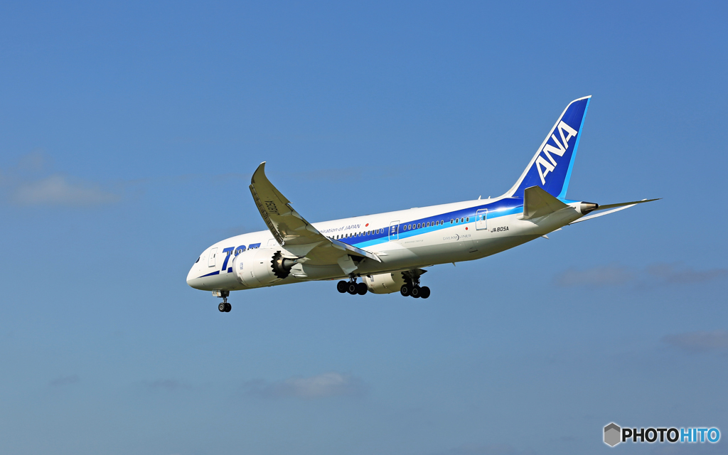 「青空」 ANA 787-8 JA805A