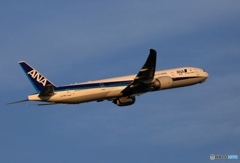 出発　ANA 777-300