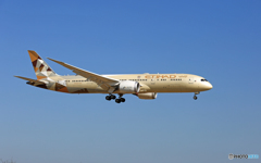 ETIHAD 787-9 A6-BLE 到着