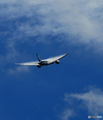 「ベイパー」　ANA 787-8 JA806A
