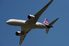 離陸（343）THAI 787-8　高貴な色