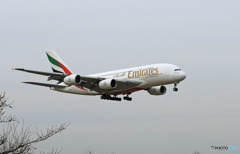 ✈来たねー　☮エミレーツ航空 A380-861