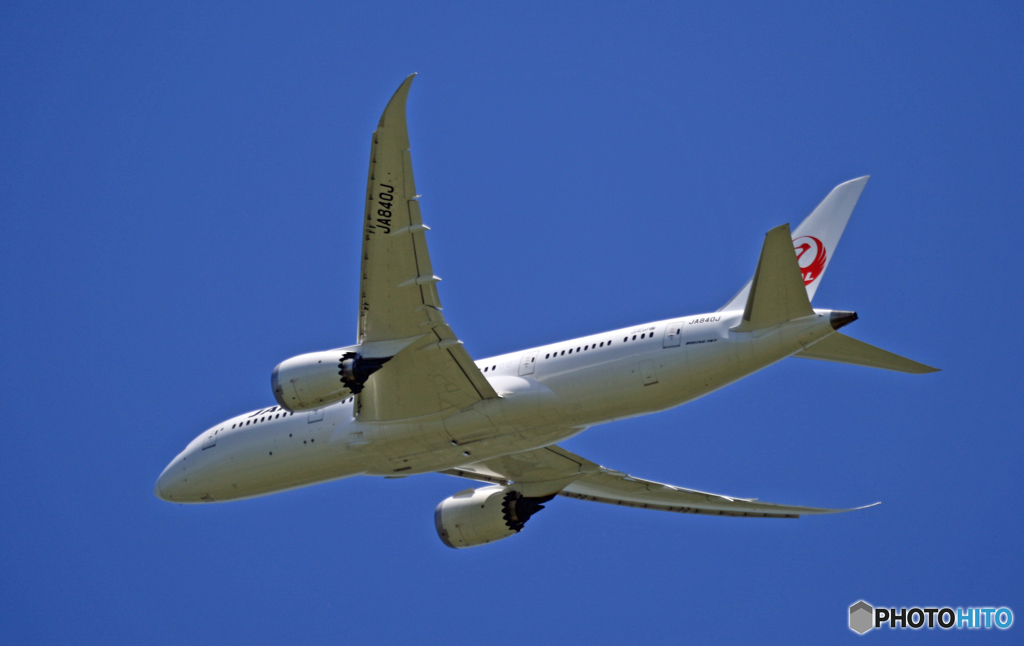 JAL 787-8 JA840J 離陸 