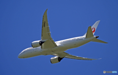 JAL 787-8 JA840J 離陸 