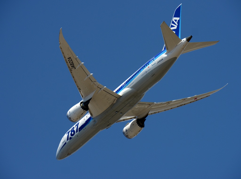 ANA 787-8  出発
