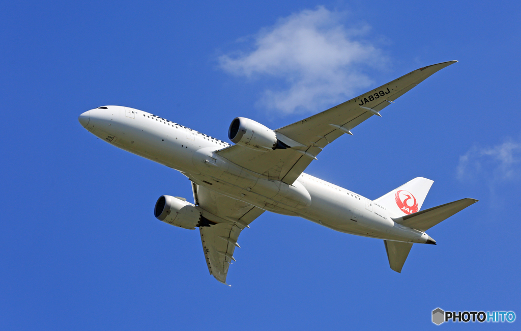 「青空」JAL 787-8 JA839J 出発