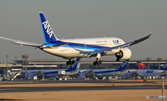 ANA 787-8 JA827A
