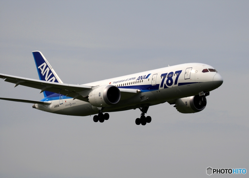 到着　ANA 787-8 