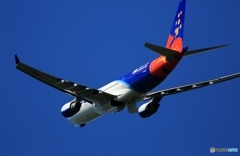 Air Calin A330-202  飛び立ち　