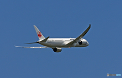 離陸 JAL 787-9 JA862J