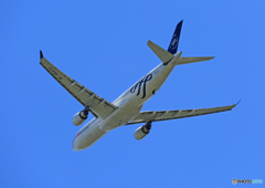 「SKY」 China SKY A330-302 B-18311 離陸 「SKY」 China SKY A330-302 B-18311 離陸