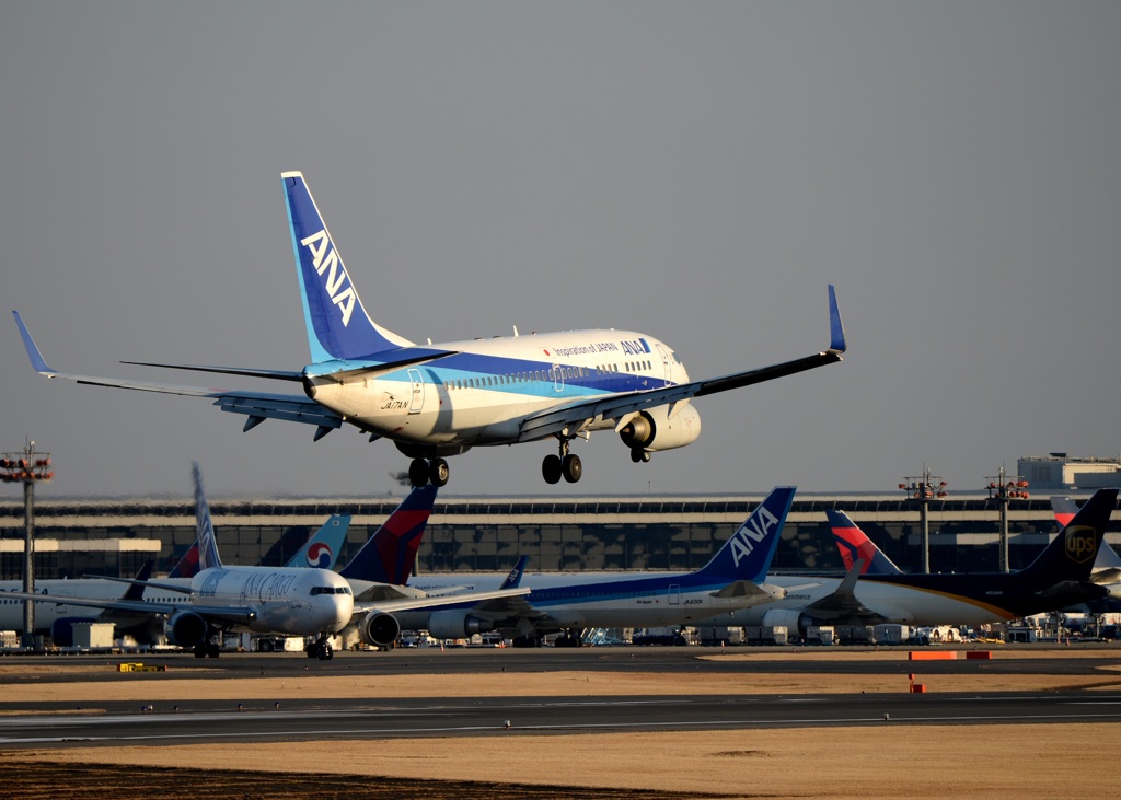 ANA 737-700 着陸