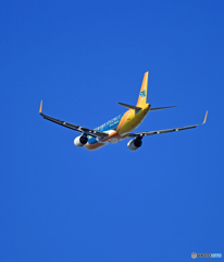 飛び立ち  CEBU A320-214 RP-C4100