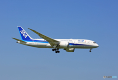 ANA 787-8 JA840A 到着 