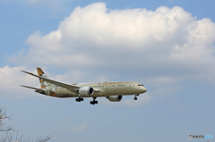 「そらー」 ETIHAD 787-9 A6-BLB 到着