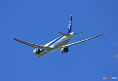 「青色」 ANA 777-300 JA781A Takeoff