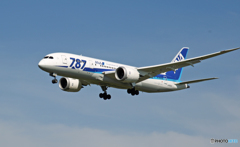 ANA 787-8 JA805A 着陸 
