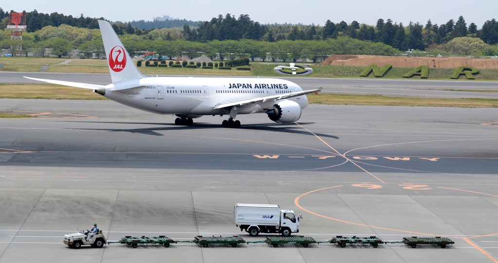 JAL 787-8
