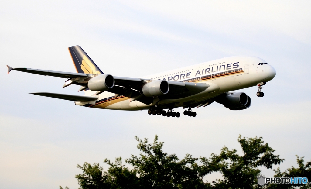 Singapore A380-841 到着　