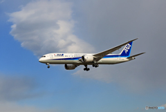 「良い空～」 ANA 787-9 JA876A到着