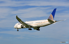 到着 UNITED 787-8 N26906