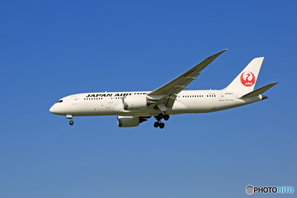 ☀ JAL 787-8 JA834J 到着