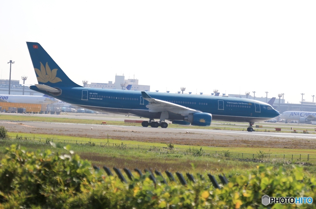 飛び立ち　vietnam A330-223