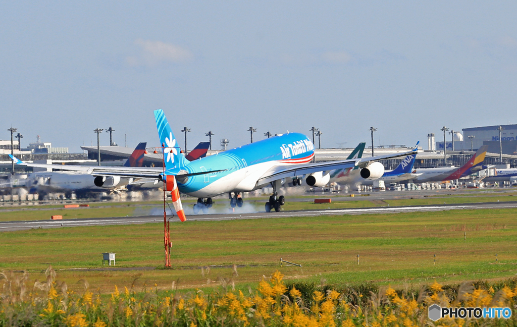  着陸 Air Tahiti Nui A340-313 F-OJGF