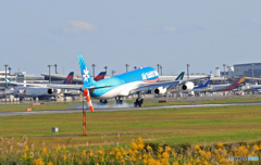  着陸 Air Tahiti Nui A340-313 F-OJGF
