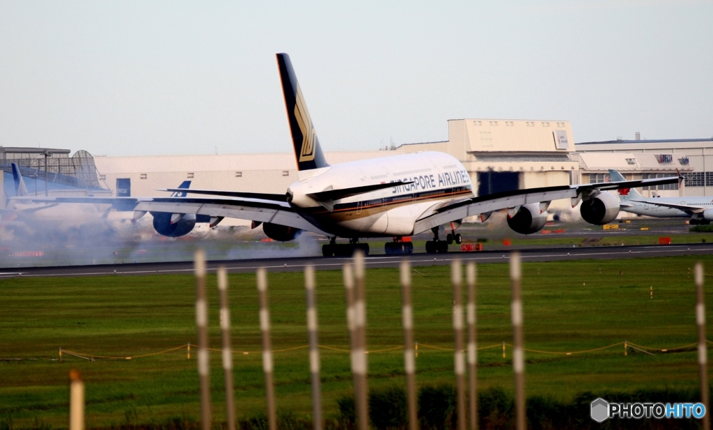 SINGAPORE A380-841 到着　