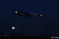 顔だけ？　☮　ハワイアン航空　☮