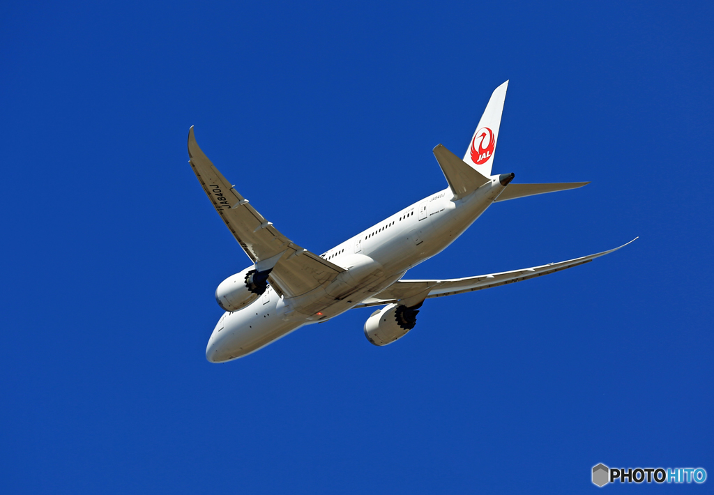 「☁雲なし」 JAL 787-8 JA840J離陸