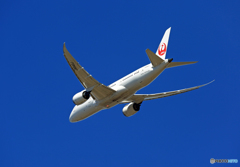 「☁雲なし」 JAL 787-8 JA840J離陸
