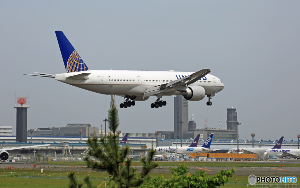 UNITED 777-224 N77019 到着 