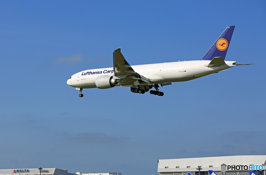到着 Lufthansa Cargo 777-FBT D-ALFB